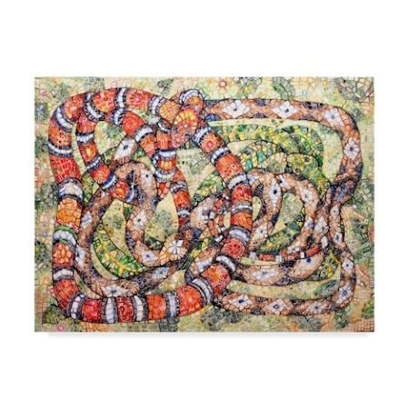 Charlsie Kelly 'Coral Snake Ouroboros' Canvas Art,24x32
